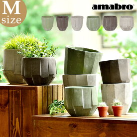 楽天市場 鉢 デザインの通販