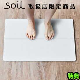 【マラソン期間中★確率1/2で最大100％Pバック】 送料無料 soil バスマット ソイル gem バスマット 珪藻土バスマット ポイント2倍soil GEM ひる石バスマット [ Standardサイズ ]足ふきマット 珪藻土 日本製 限定 速乾 吸収