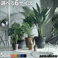 プランター 植木鉢 おしゃれ 鉢植えアマブロ アートストーン [ SSS / SS / S / M / L / LL ] AMABRO ART …