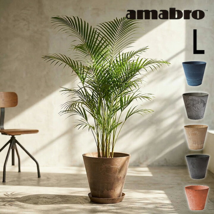 楽天市場 プランター 植木鉢 おしゃれ 鉢植え あす楽14時まで アマブロ アートストーン Lサイズ Amabro Art Stone花 栽培 プレゼント ギフト 母の日 通販 水やり かわいい ガーデニング 排水 乾燥防止 Plywood キッチン インテリア雑貨