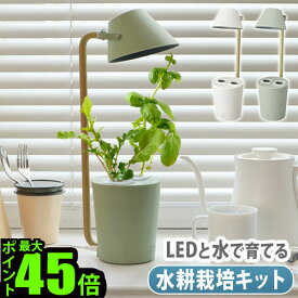 楽天市場 水耕栽培 ハーブの通販