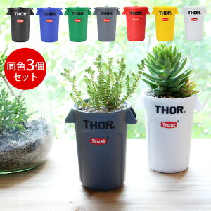 [{bNX y yX^h v^[ Trust Thor Round Container MinigXg \[EhRei[~j 3Zbg [ ӂt Wt ꁞ~ [P[X 
