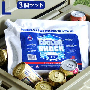 ۗ     RpNg COOLER SHOCK N[[VbN LTCY 3ZbgN[[{bNX WF Lv AEghA ACXpbN AJ Rl J