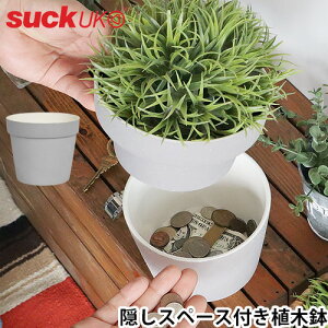 Aؔ  V[NbgP[X B[TbN[P[vg |bg nC_EFCsuck uk Plant Pot Hideaway   CeA G Z~bN Mtg v[g