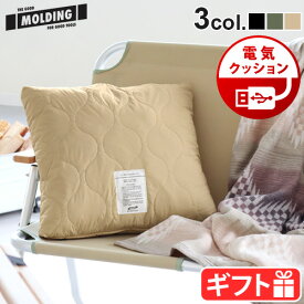 ホットクッション クッション 40×40cm 電気 USBモールディング USB クッション MOLDING USB WARM CUSHION 003368暖かい 寒さ対策 あったかグッズ USB暖房 枕 まくら 腰 防寒グッズ アウトドア 車◇プレゼント ギフト 男性 女性 送料無料