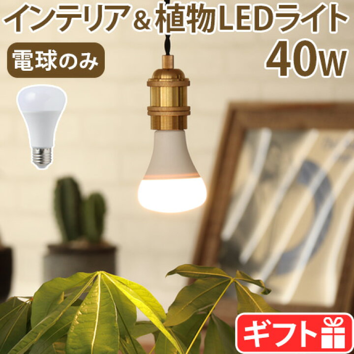 楽天市場】【選べる特典付】 植物用ライト 電球 e26 led led電球 植物 