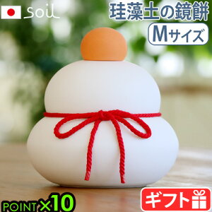 y}\Ԓ őP53{z  u   \C JK~` M soil KAGAMI MOCHI M݂  ]y {  _ Rf VRf  z d