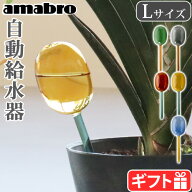 水差し 鉢植え 観葉植物 水やり ガラス ガーデニング 自動アマブロ ツートーン ウォーター ディスペンサ…