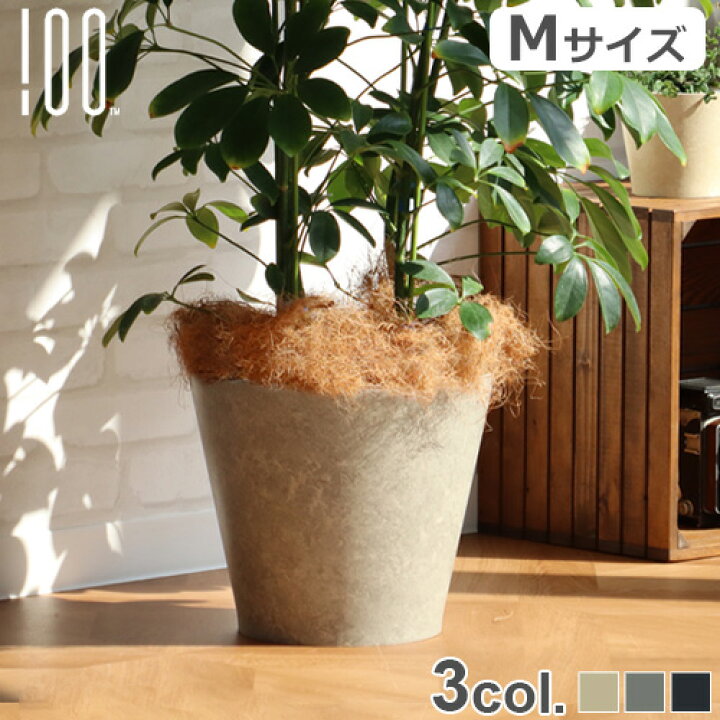 楽天市場 プランターカバー 植木鉢カバー 鉢植えアースポット リノリウム Earth Pot Linoleum Saucer Mサイズ 6 8号 天然素材 自然素材 環境配慮 受け皿 受け皿付き おしゃれ おすすめ 室内 インテリア グリーン ガーデニング 新生活 あす楽14時まで 送料無料