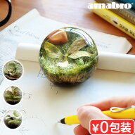 置物 おしゃれ インテリア 玄関 トイレ オブジェ モダンアマブロ エバーリーフボール amabro Ever Leaf B…