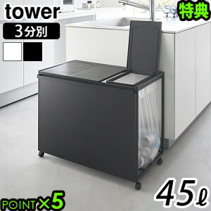 yIׂ2Ttz^[ R tower WtډBʃ_XgS 45L 3 1822 1823S~ 45bg  LX^[t ӂt X  S~ | S~܃z_