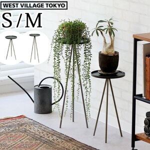 TChe[u   ~` ACAX^h ԑ t[X^hWEST VILLAGE TOKYO KINO 3 LEGGED TOWER [STCY / MTCY]EGXgrbWg[L[ AX^h u a20.5cm