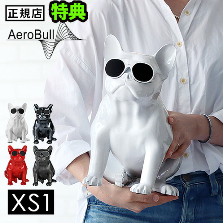 楽天市場】【特典付】正規品 エアロブル Aerobull XS 1 ポータブル 