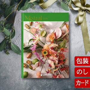 J^OMtg TԂ j O j oYj ~Xg oC [q^Cv / J[h^Cv]Mistral Byron 2503117 / 2500217Ԃ jԂ Ε o lC ސEj