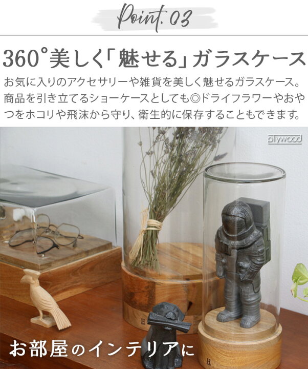 楽天市場】ショーケース ディスプレイケース 木製 ガラス ケースヒア 