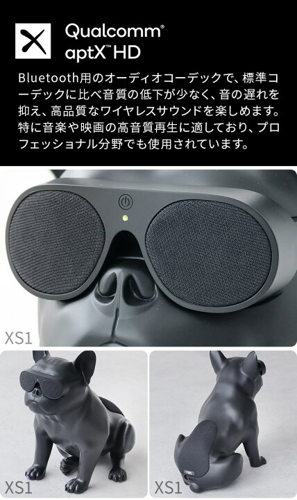 楽天市場】【特典付】正規品 エアロブル Aerobull XS 1 ポータブル 