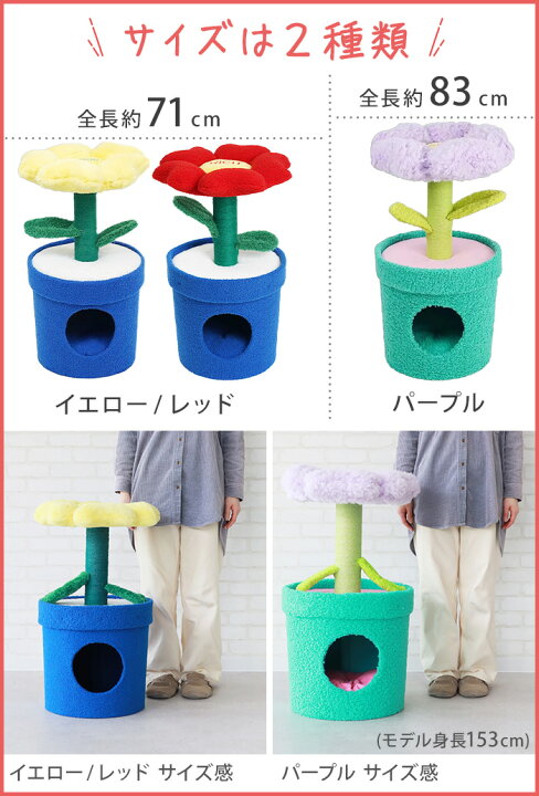 楽天市場】【メーカー直送品】【特典付】 猫ベッド ネコベッド