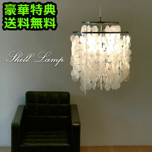 yzTtIVFv Shell Lamp[LCPL-0007]ysmtb-FzƖ y_gCg VƖ IV 킢  y_g_CjO a q Ɩ Cg j