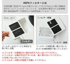 アプリ操作対応音声対応工事不要FCE-550FCE-555空気循環スマートスピーカー対応シーリングファンライト薄型おしゃれled軽量空気清浄うずかぜサーキュレーター天井照明