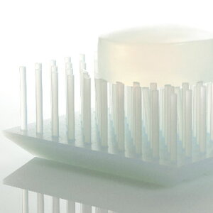 \[vfBbV  Όu \[vg[ ΂MvXfB[ cc \[vfBbV{d Tsun Tsun Soap Dish oXObY ΂u u ʏLb` VR 