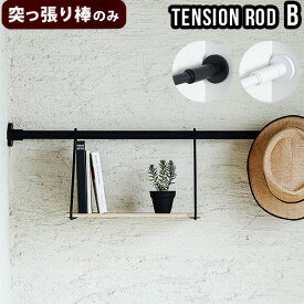 つっぱり棒 強力 おしゃれ 棚 突っ張り ラックP2倍DRAW A LINE 002 Tension Rod B (Horizontal/Vertical) 115～190cm [突っ張り棒のみ]突っ張り棒 収納 縦 横 デザイン カーテン◇インテリア ツッパリラック キッチン
