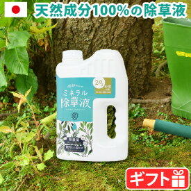 楽天市場 クローバー 除草 剤の通販