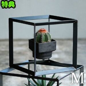 yIׂTtzACA fBXvC{bNX K[fbNEGXgrbWg[L[ Ibh L[rbN {bNXWEST VILLAGE TOKYO ODD CUBIC BOX (M)Vv fBXvCP[Xt