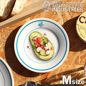 H  ɂ MoXeBNX GAtH[X v[g MTCYBALLISTICS AIR FORCE PLATE Mu[C 18cm 蕪M y ~ Vv g AJ BAA-2325 USAFA