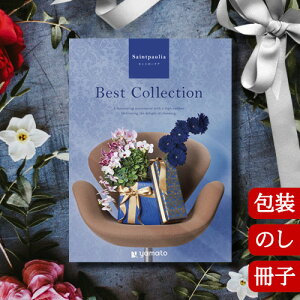 J^OMtg TԂ j O j oYj xXgRNV Zg|[A Best Collection Saintpaulia 2502316q Ԃ jԂ Ε o lC ސEj M