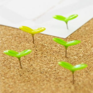 �y�l�R�|�XOK�z h concept �O���[���s�� 5��Set (-)���f�U�C�� plywood �I�V�����G��