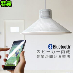 天井照明 スピーカー 照明 その他の照明器具 天井照明 通販 価格比較 価格 Com