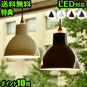  Ɩ y_gCg P10{ TtInT IEv HERMOSA OWL LAMP EN-023Ɩ Cg v VƖ ݂艺  AeB[N V {CeA Lb`