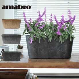 楽天市場 花 鉢植え おしゃれの通販 楽天市場 花 鉢植え おしゃれの通販