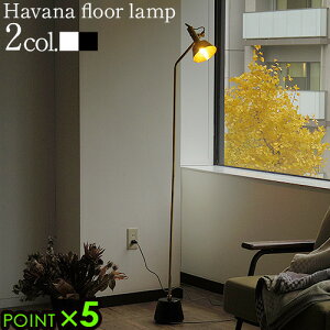 tACg  ԐڏƖ LED Ή P5{ARTWORKSTUDIO Havana-floor lamp AW-0529EA[g[NX^WI noi tA[vtAX^h Cg Ɩ ꁞVv Q tbgX