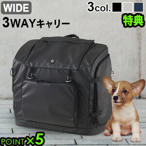 Ki GAoM[ X[EFC obNpbN L[ [Ch] AIRBUGGY 3WAY BACKPACK CARRIER WIDEybgL[ ^ ^ ybg bN L[ w O |  L s y 