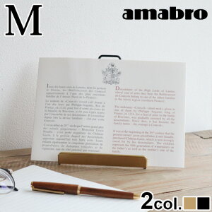  fBXvCX^h X}zX^hA}u fBXvC X^h M amabro DISPLAY STAND P2{ tHgt[ ʐ^ |XgJ[h px 掋  X^CbVVv 