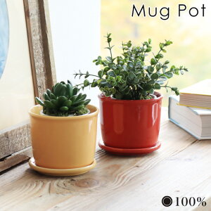 yX[p[Z[Ԓ őP54{z Aؔ   ϗtA A A }O |bg MUG POT 100percent 3 󂯎Mt  Z  Ă 킢 Vv |pi CeA 