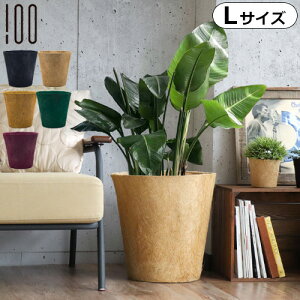 yX[p[Z[Ԓ őP54{z v^[Jo[ AؔJo[ A 9 10A[X|bg Earth Pot LTCY Pi RRV VK 󂯎M 󂯎Mt   