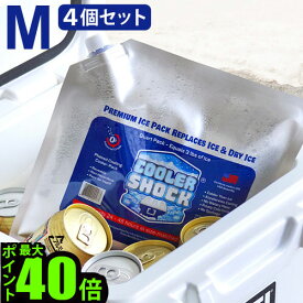＼MAX41倍／保冷剤 長持ち 長時間 おすすめ おしゃれ コンパクト【あす楽14時まで】COOLER SHOCK クーラーショック Mサイズ 4個セットクーラーボックス ジェル キャンプ アウトドア アイスパック アメリカン 漏斗