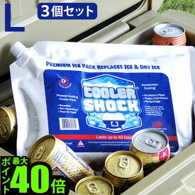 ＼MAX41倍／保冷剤 長持ち 長時間 おすすめ おしゃれ コンパクト【あす楽14時まで】COOLER SHOCK クーラーショック Lサイズ 3個セットクーラーボックス ジェル キャンプ アウトドア アイスパック アメリカン 漏斗