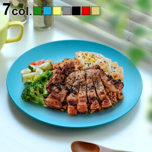 プレート おしゃれ 日本製 食器 お皿トライベッカ PLAウェア 10 ディナープレートTRIBECA PLAWARE 10 DINNER PLATE アウトドア キャンプ TRADITION ACOUSTIC. 割れにくい 電子レンジOK◇スタッキング トラディ