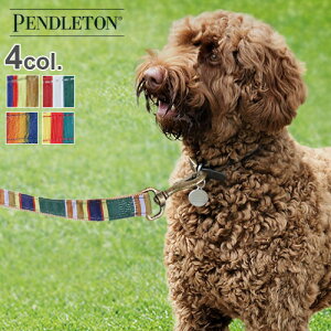 [h  ybg [h U hbO[h yhg [nCJ[ hbO [V] PENDLETON Hiker Dog Leash  ^ ^ ^ p łybgObY v pi 