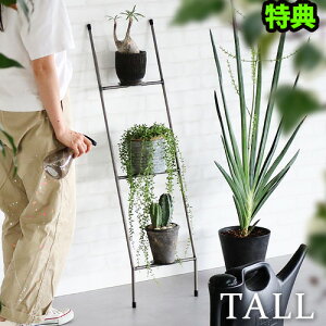 yIׂTtz _[bN Ċ| K[fbNEGXgrbWg[L[ mbv _[ bN g[WEST VILLAGE TOKYO KNOP LADDER RACK TALLVv ȃXy[X t[X^hv