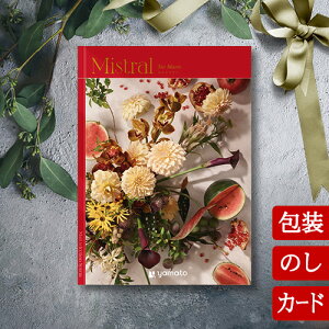 J^OMtg TԂ j O j oYj ~Xg Zg}[ [q^Cv / J[h^Cv]Mistral Ste Marie 2503119 / 2500219Ԃ jԂ Ε o lC 