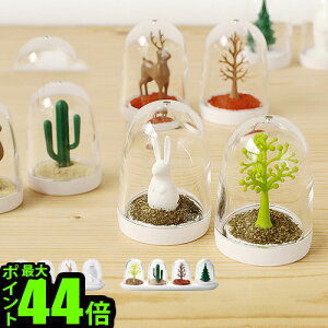 QUALY SEASONING SHAKER NI[ V[YjOVFCJ[ [  4Zbg ] XpCX{g XpCX  {g P[X e Zbg  F