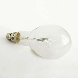 集魚灯 [ 白熱電球 / E26 100W ] Floyd Fish Luring Lamp フロイド フィッシュ ルーイング ランプ 交換 白熱電球 100w F
