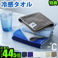 【選べる特典付】ネコポスOK 今治タオル ハンドタオル ハンカチ 冷感タオル ひんやりタオルマイナスディ…