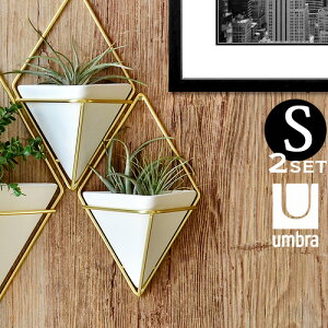 [ [P[X Ǌ|umbra TRIGG WALL VESSELAu gbO EH[I[KiCU[ STCY[2Zbg][{bNX  e [ P[X k ϗtA A eE Ce