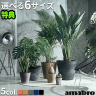 【選べる特典付】 プランター 植木鉢 おしゃれ 鉢植えアマブロ アートストーン [ SSS / SS / S / M / L /…