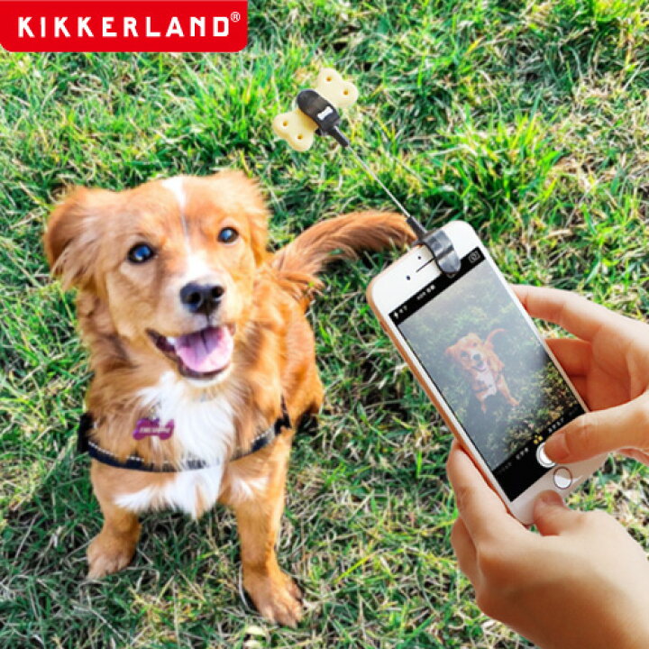 楽天市場 Max37倍 スマホ 犬用グッズ 犬 イヌ ペット おもしろ雑貨キッカーランド ドッグ トリート セルフィー クリップkikkerland Dog Treat Selfie Clip Kdig01 あす楽14時まで ネコポスok 写真 カメラ Plywood Zakka インテリア雑貨